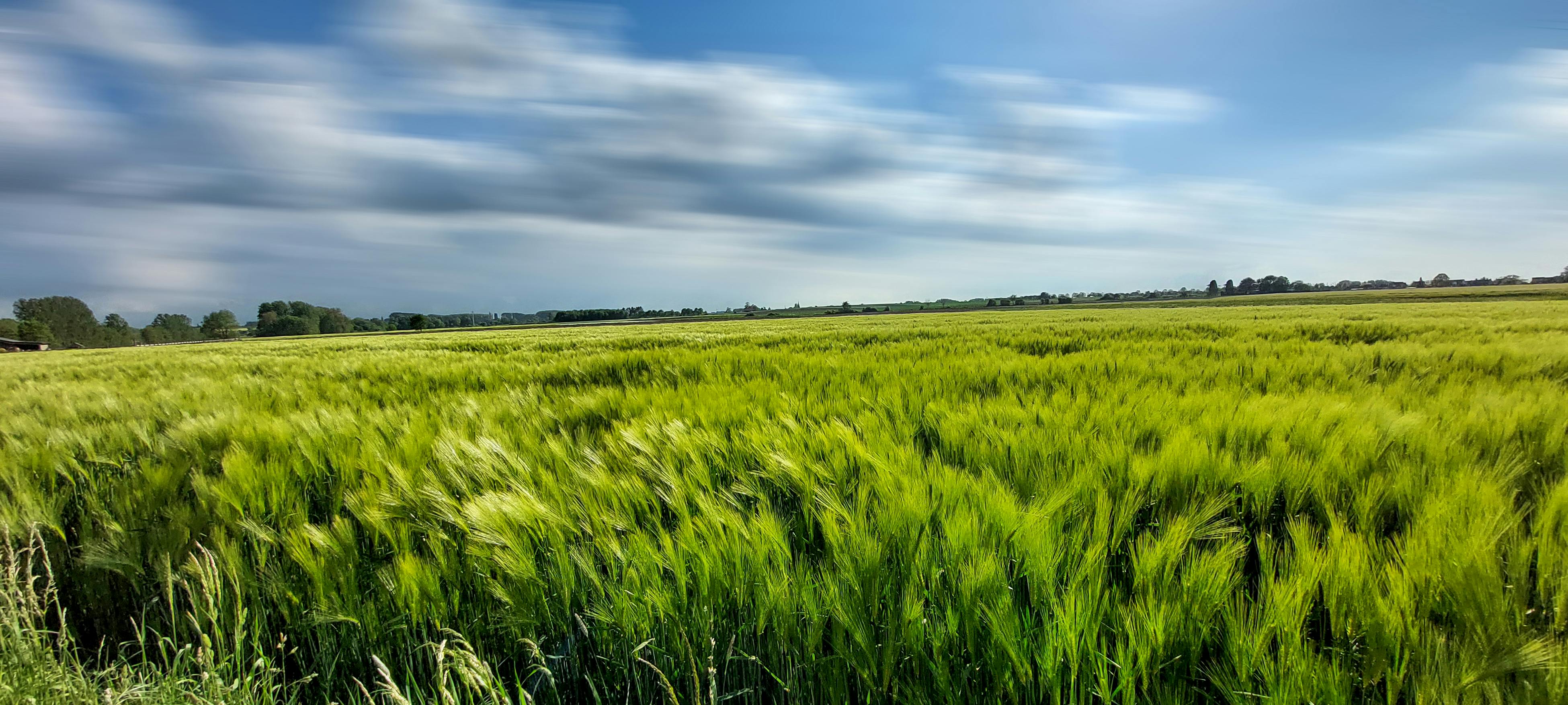 Mãos femininas macerando ervas e flores secas em um almofariz, demonstrando a produção artesanal de cosméticos.