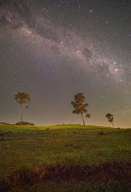 Green Grass Field With Trees Under Starry Night