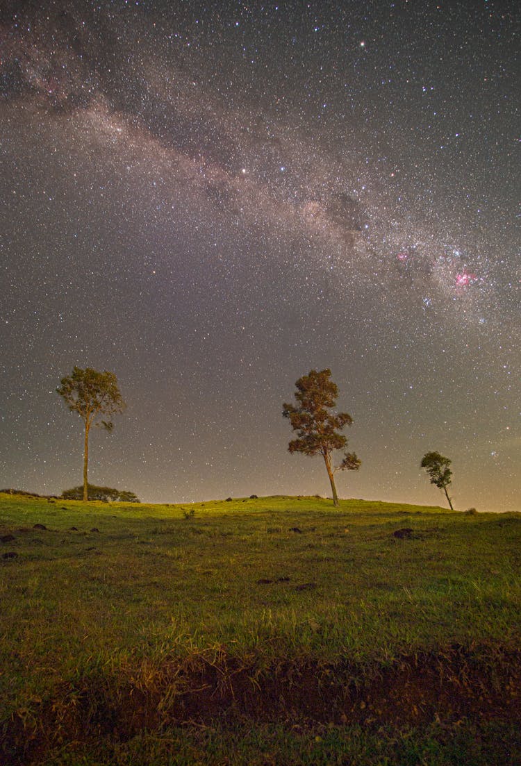 Green Grass Field With Trees Under Starry Night