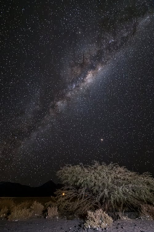 Gratuit Imagine de stoc gratuită din astrofotografie, Calea Lactee, celebrități Fotografie de stoc