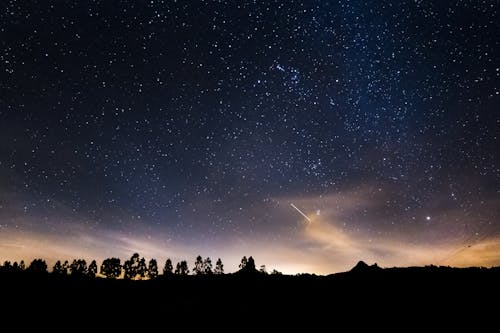 Free Silhouettes of Trees Under Starry Sky Stock Photo