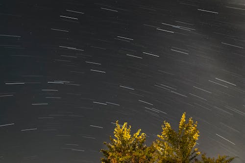 Fotobanka s bezplatnými fotkami na tému dlhá expozícia, pruhy svetla, rozmazanie