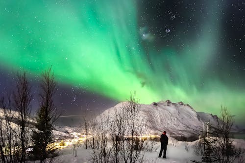 A Person Looking at Aurora Borealis