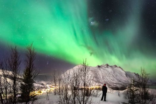 A Person Looking at Aurora Borealis