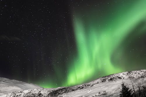 Free Immagine gratuita di ambiente, aurora boreale, cielo stellato Stock Photo