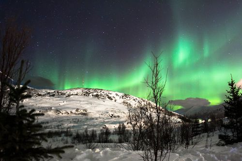 Free Stunning aurora borealis illuminating snowy mountains and bare trees at night. Stock Photo