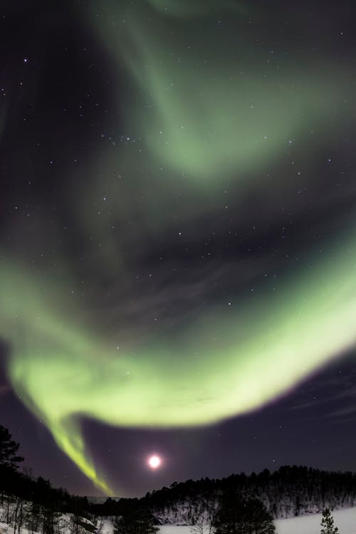 Gratis lagerfoto af astrofotografering, astrologi, aurora borealis