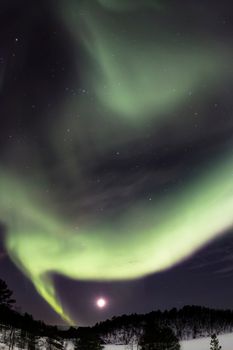 Stunning view of the northern lights and starry sky over Oslo, Norway, capturing celestial beauty.