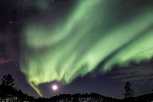 Green Aurora Lights during Night Time