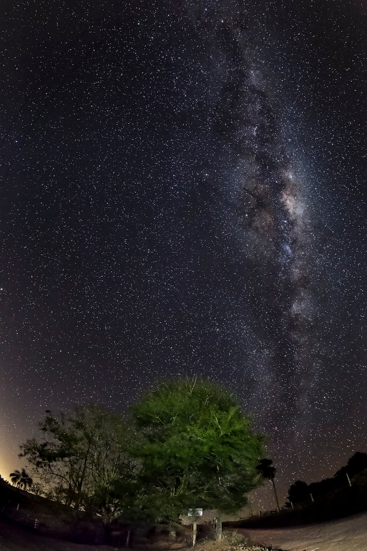 The Milky Way Galaxy In The Starry Night Sky 