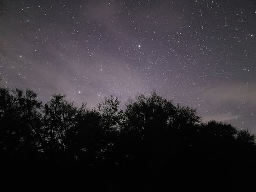 Night Sky Full of Stars