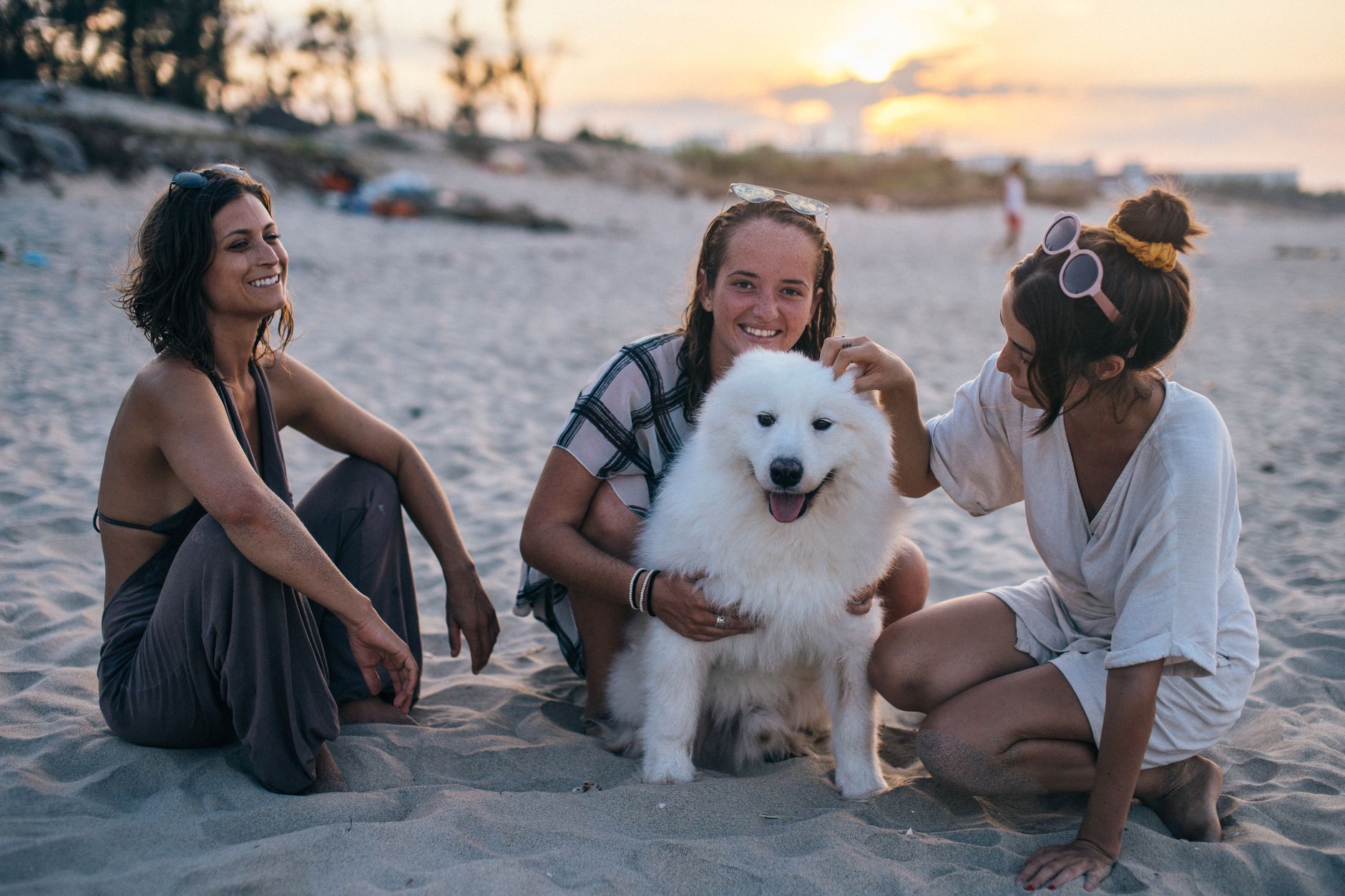 Three women laughing on a sandy Vietnam beach with a fluffy white dog during sunset.