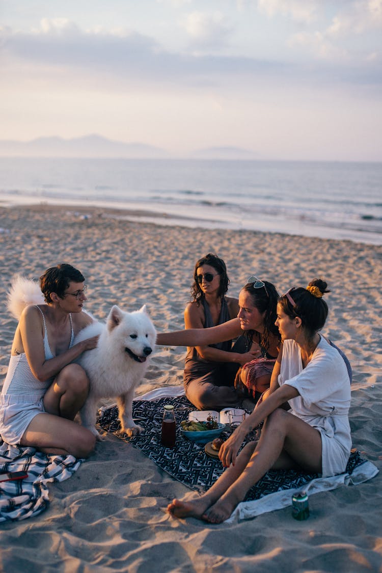 A People In The Beach With Dog 