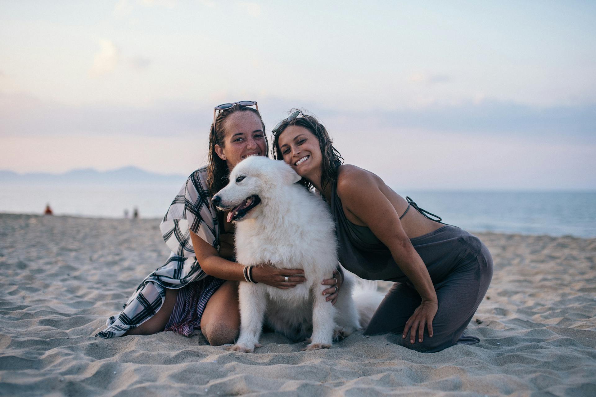 Two Women and White Dog on the Beach During Sunset