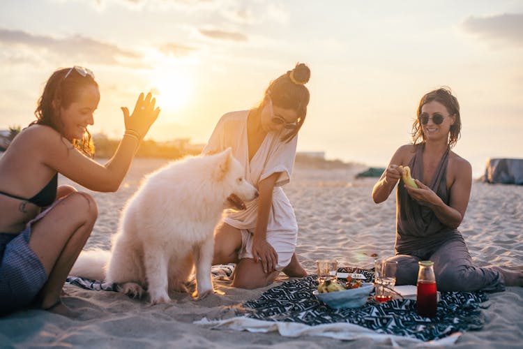 Group Of Friends At A Beach With Their Pet Dog