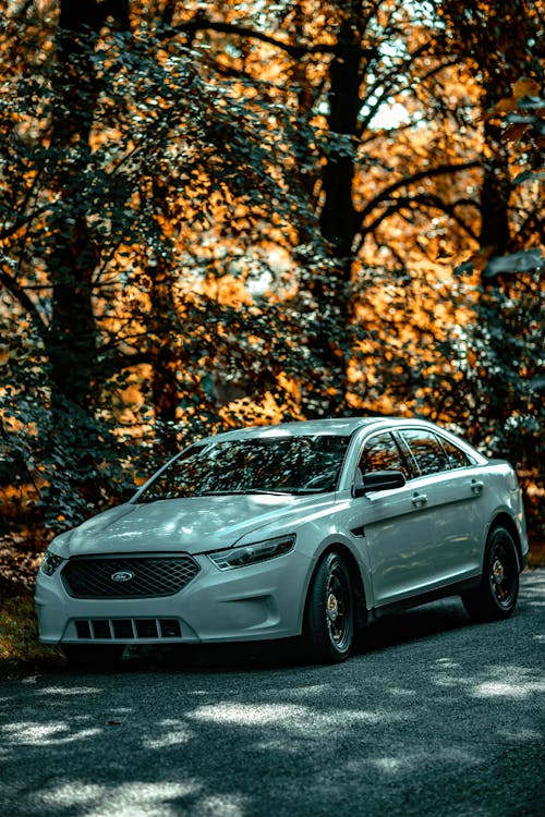 A Ford Taurus Parked Near a Forest