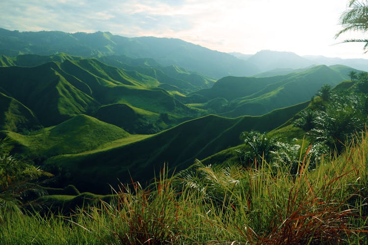 La Palmera Mountain Ridge In The Philippines