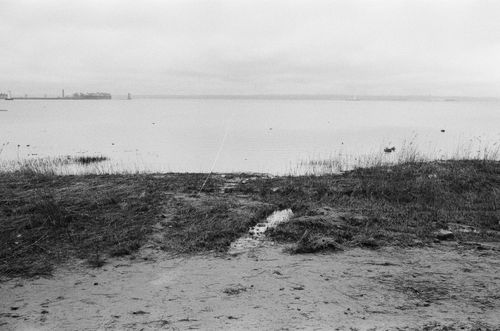 Free A tranquil riverside scene captured in monochrome, exuding calmness and solitude. Stock Photo