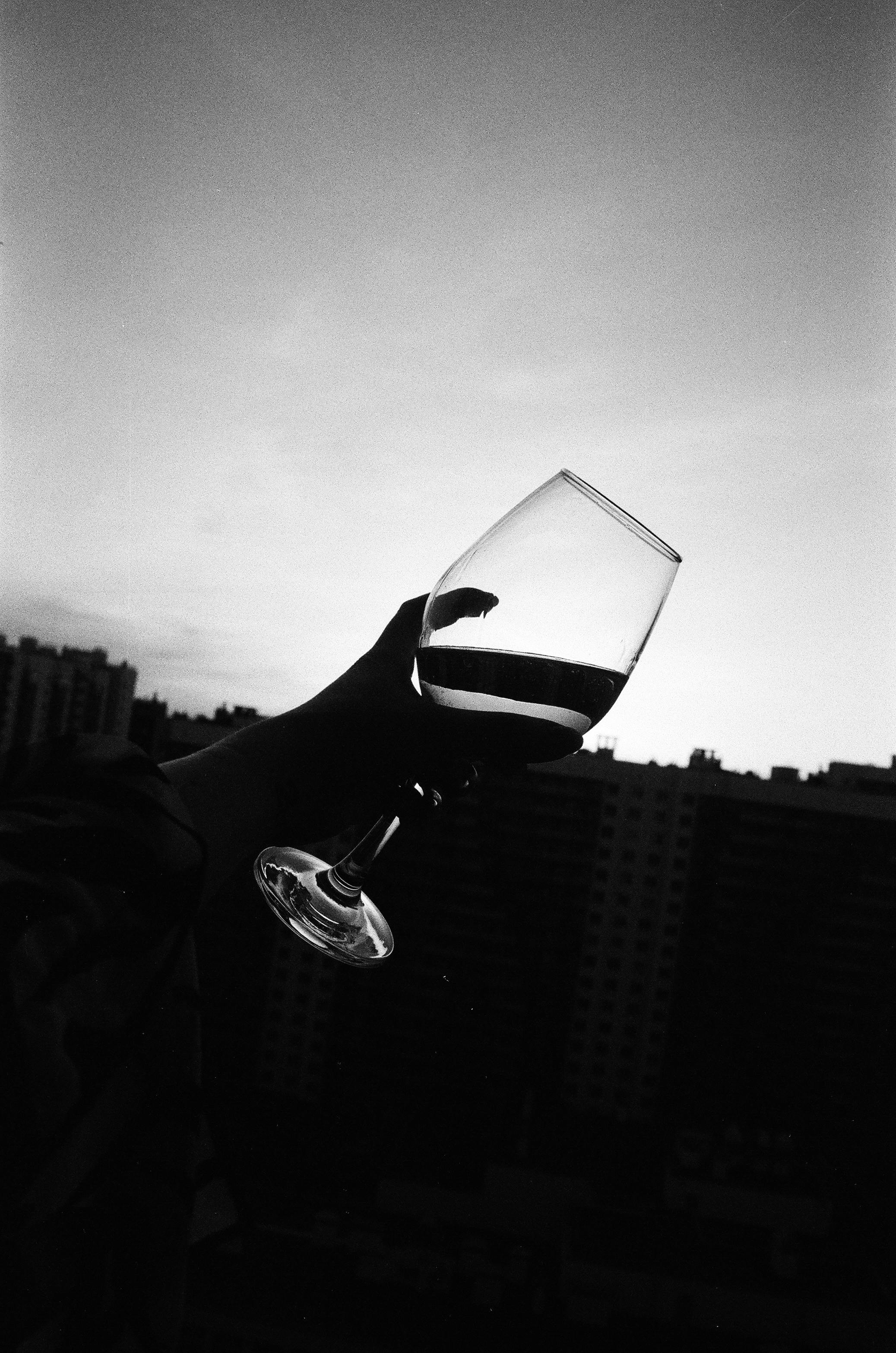 monochrome photo of person holding wine glass