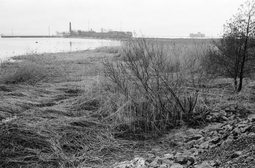 Free A monochrome view of a riverside with dry shrubs and industrial skyline. Stock Photo