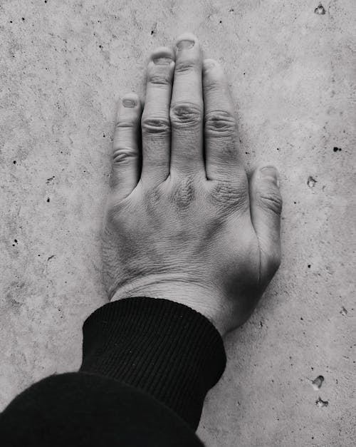 Foto profissional grátis de dedos, fechar-se, mão