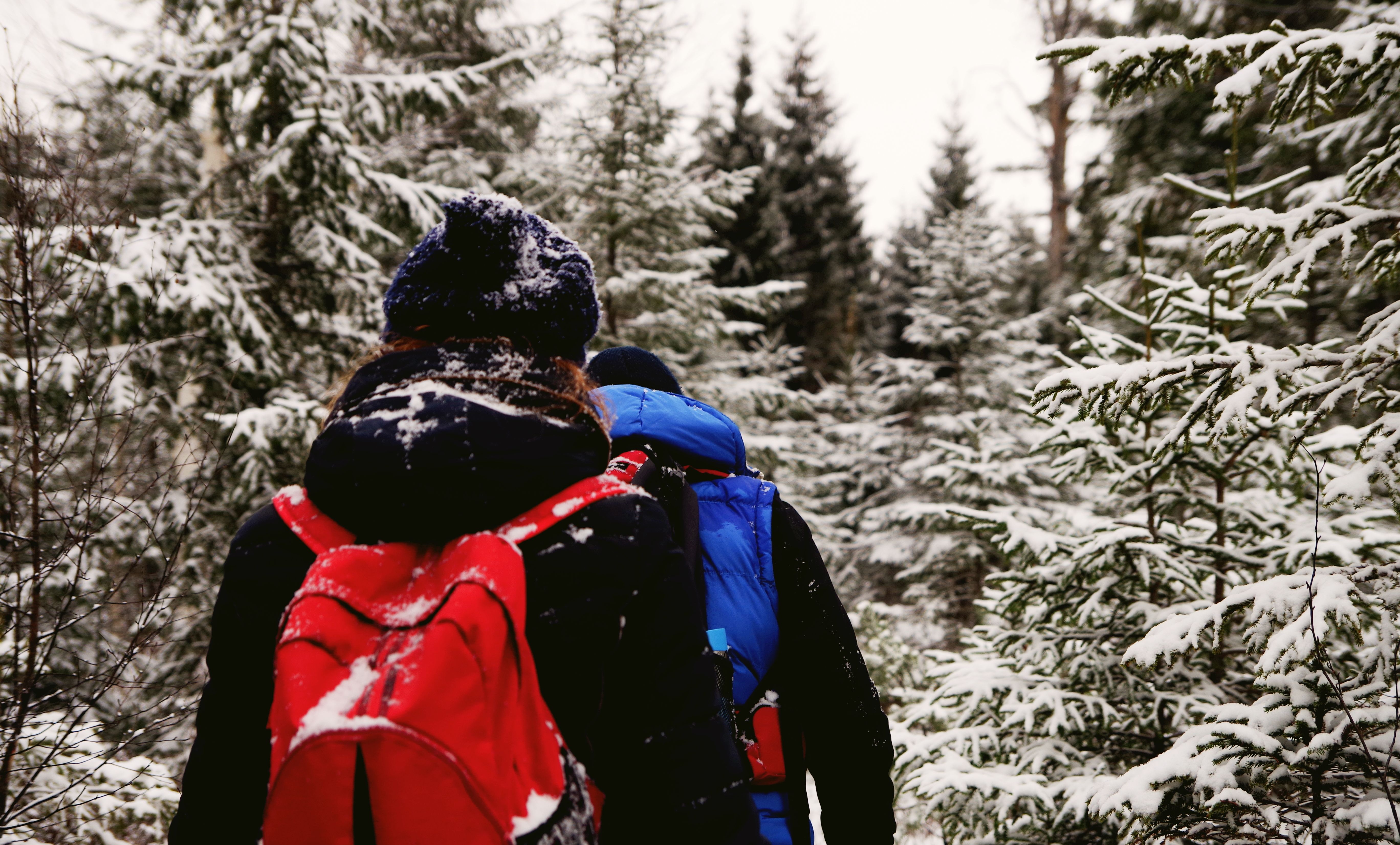 Two ruckers in warm layers and loaded backpacks walking through a snowy pine forest