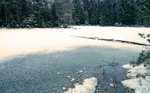 Gratis lagerfoto af dagslys, flod, forkølelse