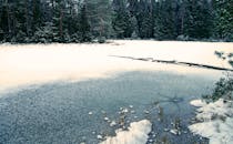 冰冻湖泊被冰雪森林环绕，尽显冬日的宁静之美