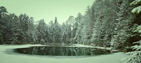 冬日景象宁静，森林白雪皑皑，倒映着冰冻的湖泊