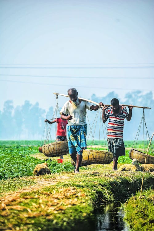 Farmers Walking on the Grass Field