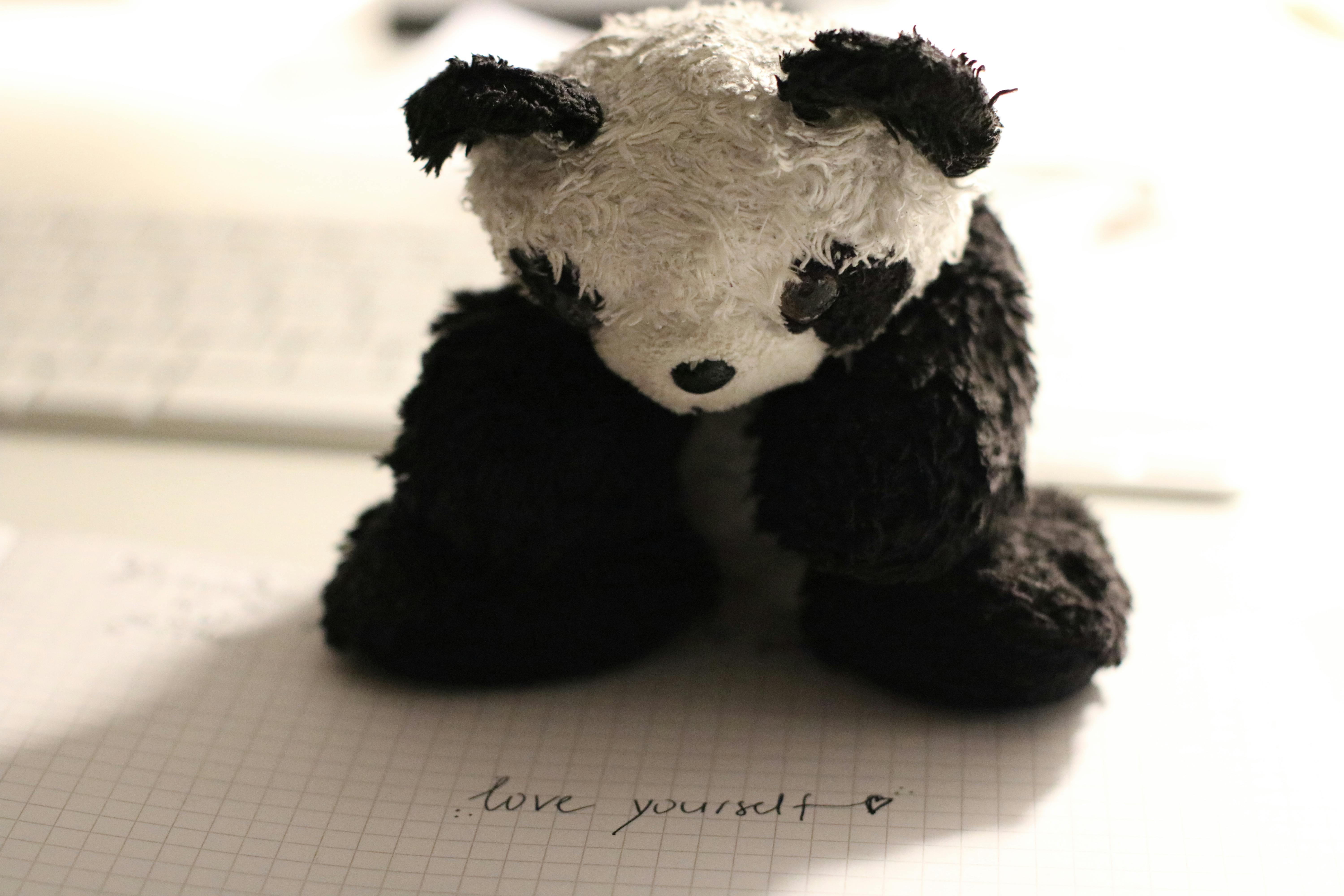 panda bear plush toy