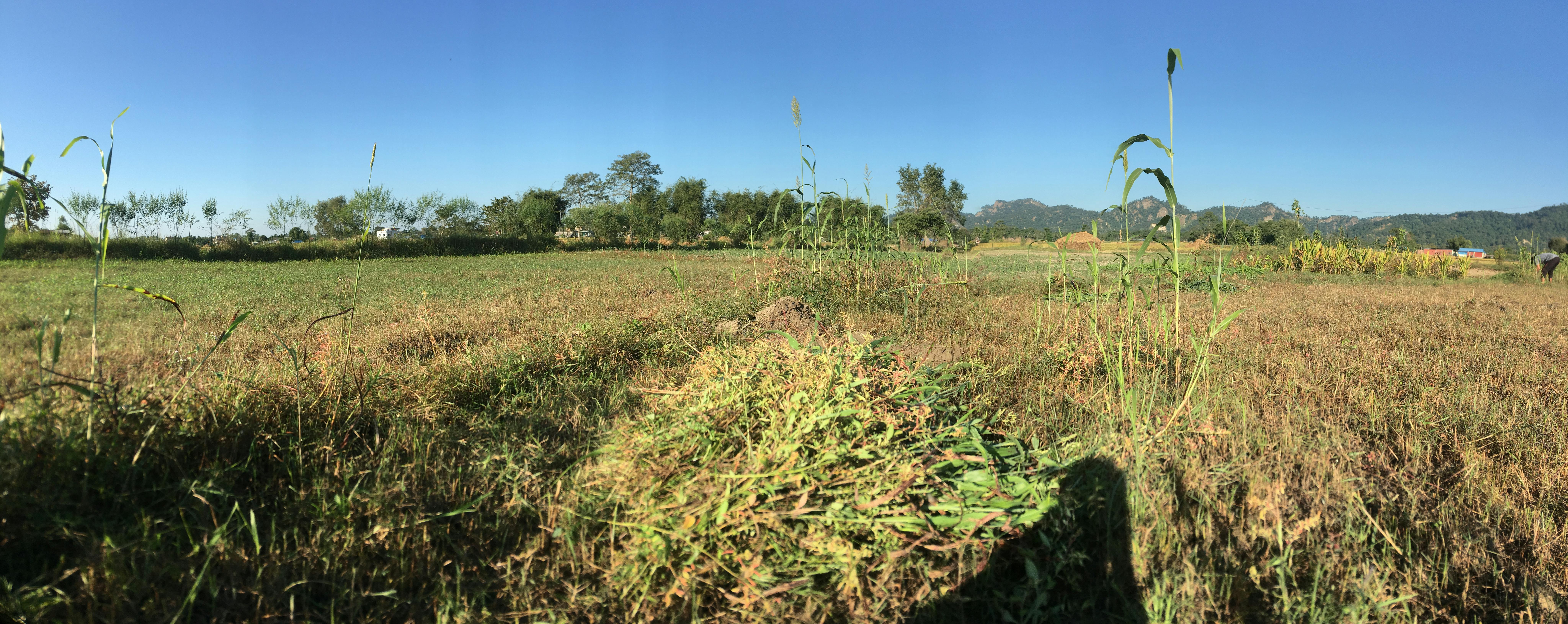 Scientist analyzing colorful brain scans on computer screens in a modern lab