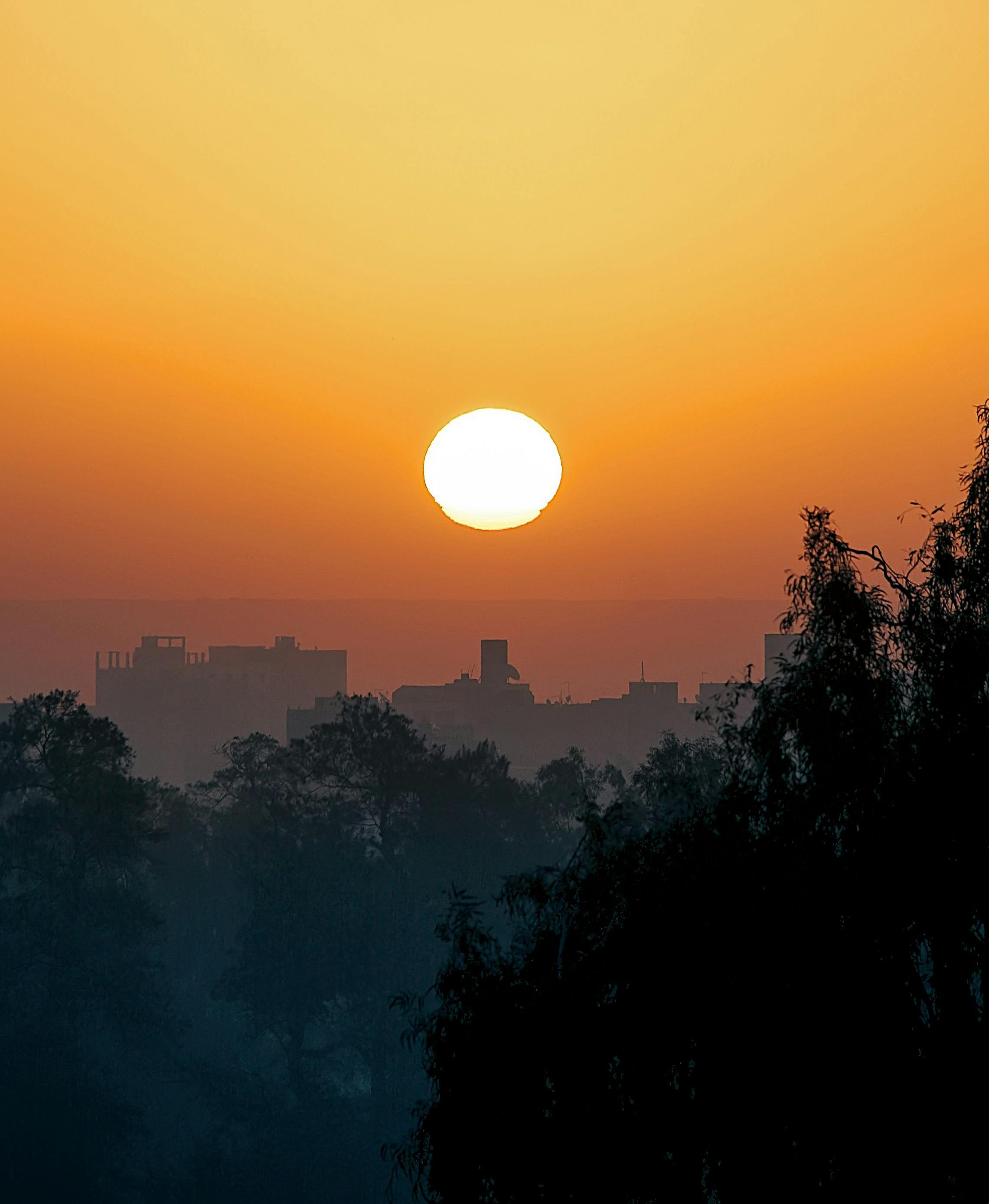 silhouette of trees and buildings during sunset