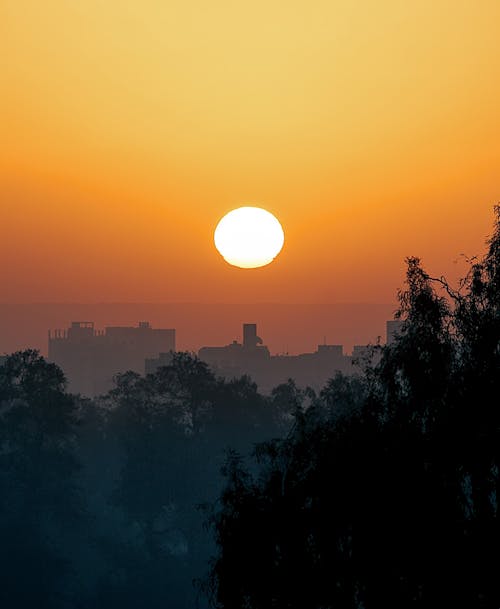 Free Silhouette Of Trees And Buildings During Sunset Stock Photo