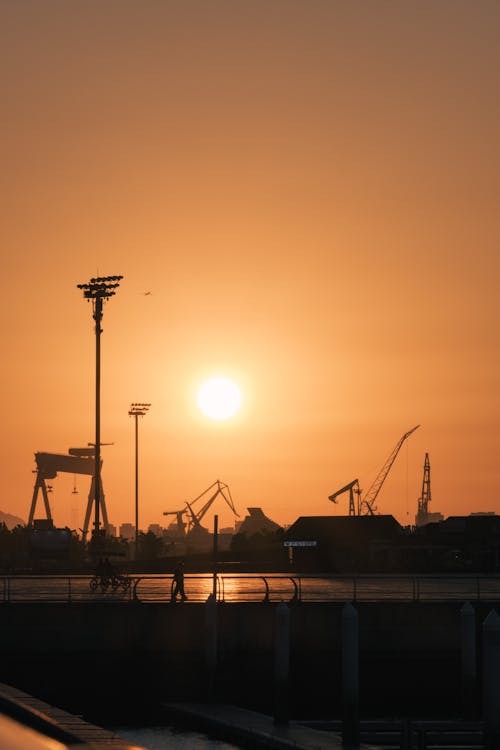 Silhouette of Cranes at Sunset