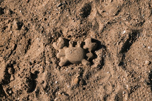 Crab Shaped Sand in Close Up Shot