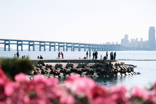 People on a Coastal Jetty With a Long Bridge in the Background
