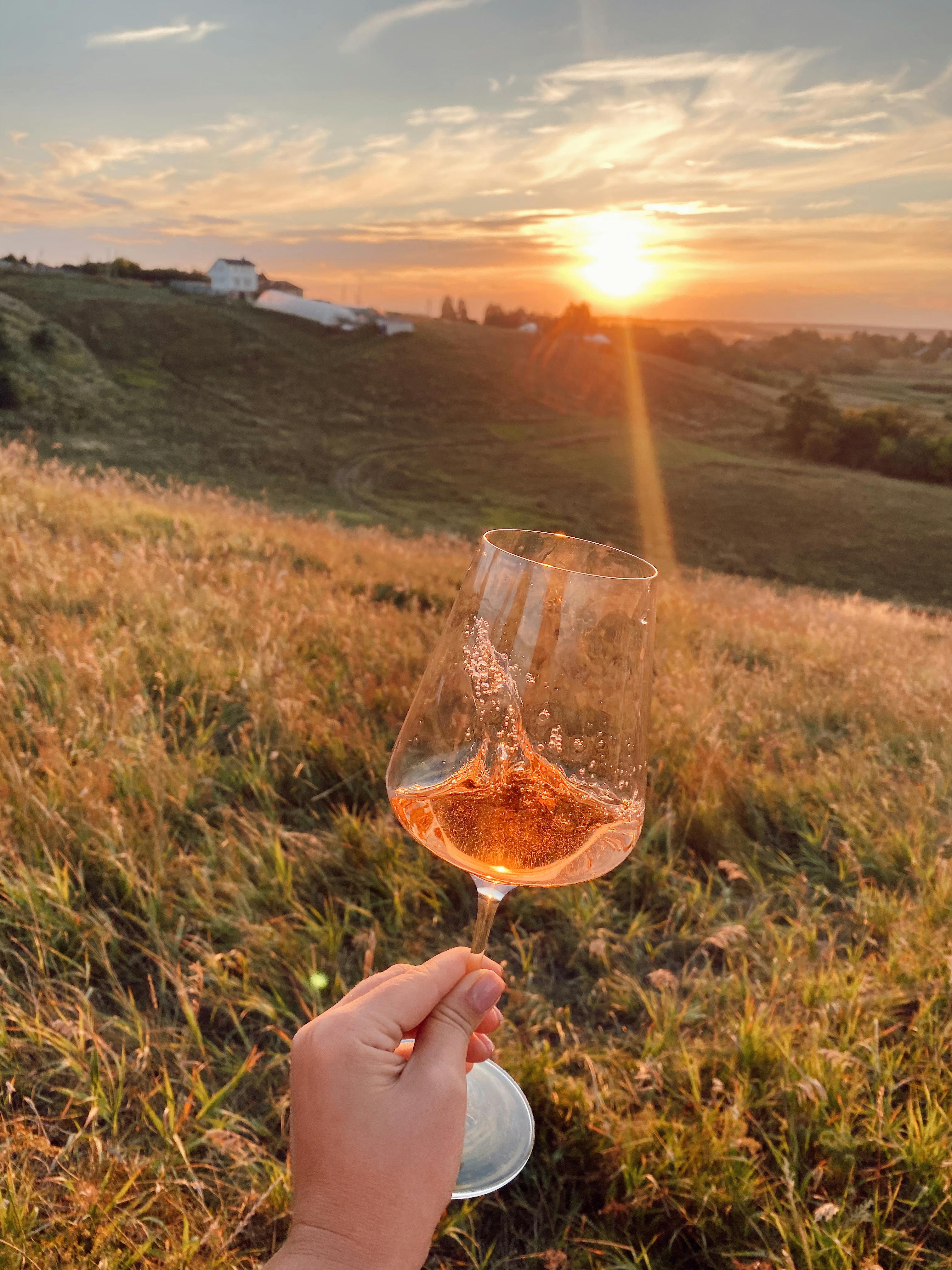 A hand holding a wine glass at sunset in a scenic countryside field.