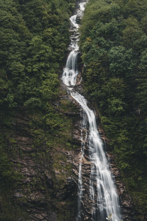 Free A breathtaking waterfall surrounded by lush greenery in Rize, Turkey. Stock Photo