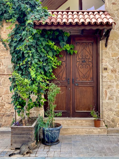 Foliage by Wooden Gate