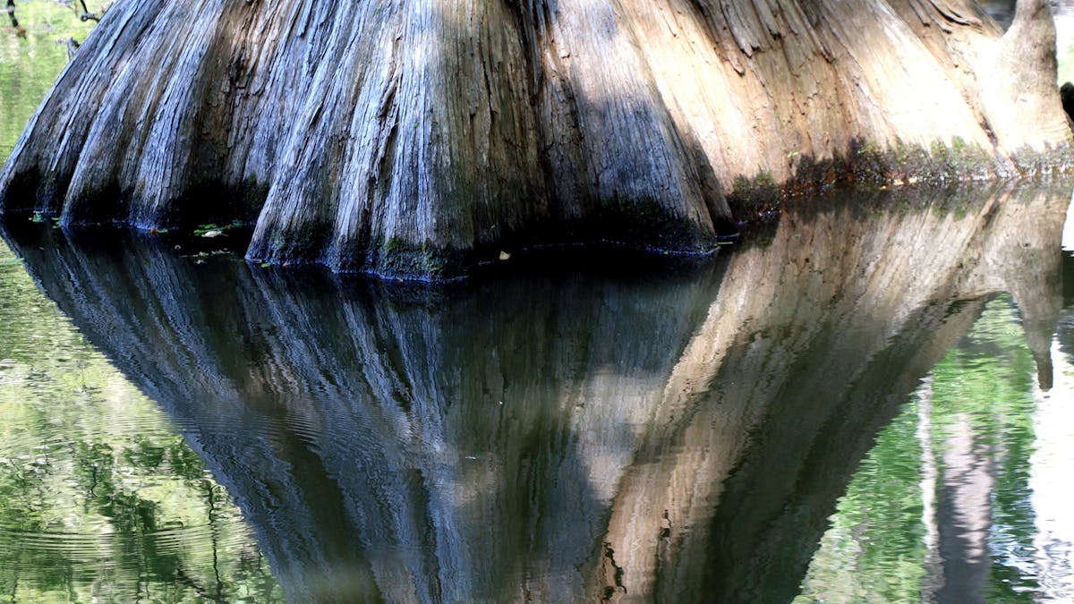 Cover image for Modernizing Without Rewriting the Rules of Time