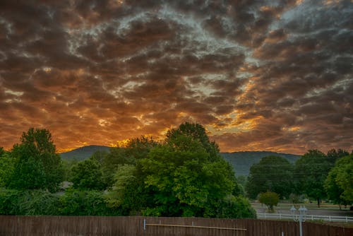 Free stock photo of morning sunrise