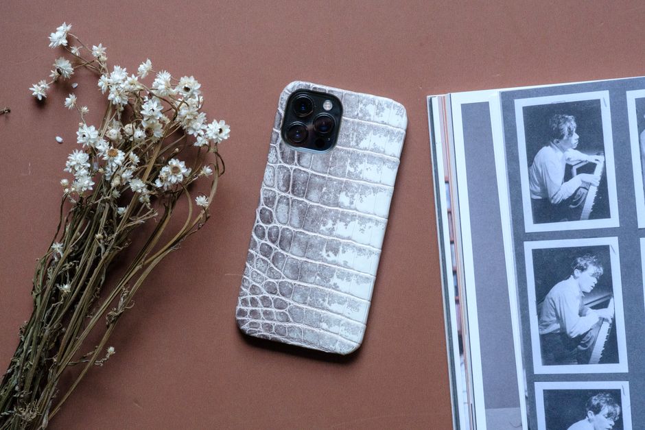The Pragmatic Dad’s Guide to iPhone 15 Case Pros and Cons in Tokyo