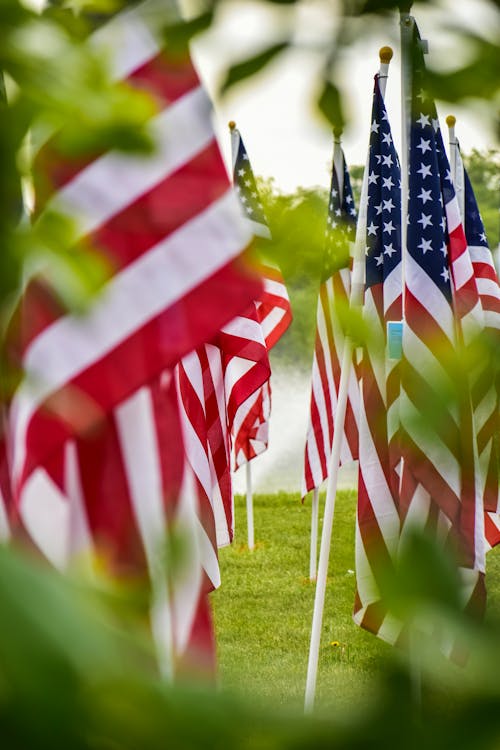 American Flags Planted on the Ground