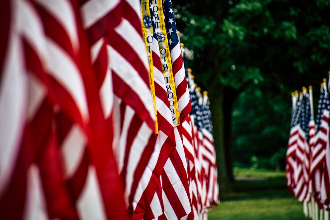 Kostenloses Stock Foto zu nahansicht, patriotisch, stillleben