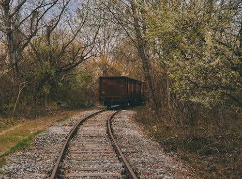 Kostenloses Stock Foto zu alt, bahngleis, bäume