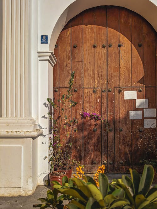 Wooden Arched Door in Concrete Wall