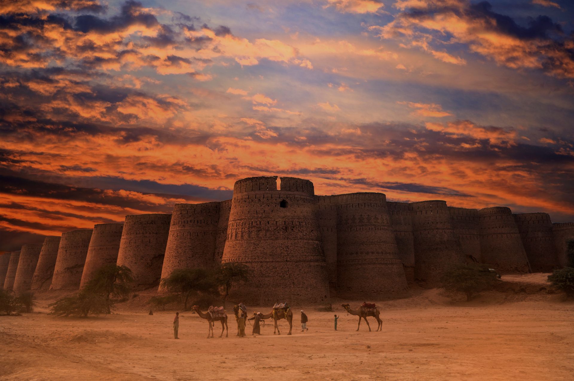 Three Brown Camels Near Building Under Cloudy Sky