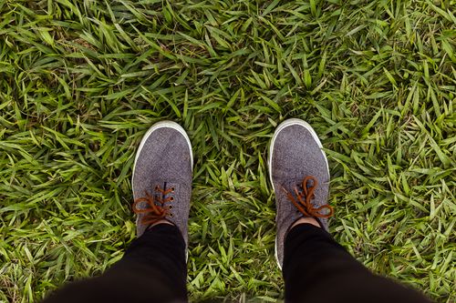 Free Close-up view of stylish gray sneakers standing on vibrant green grass. Stock Photo