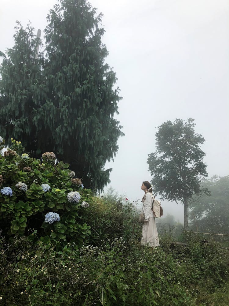 Woman Walking In Park In Fog